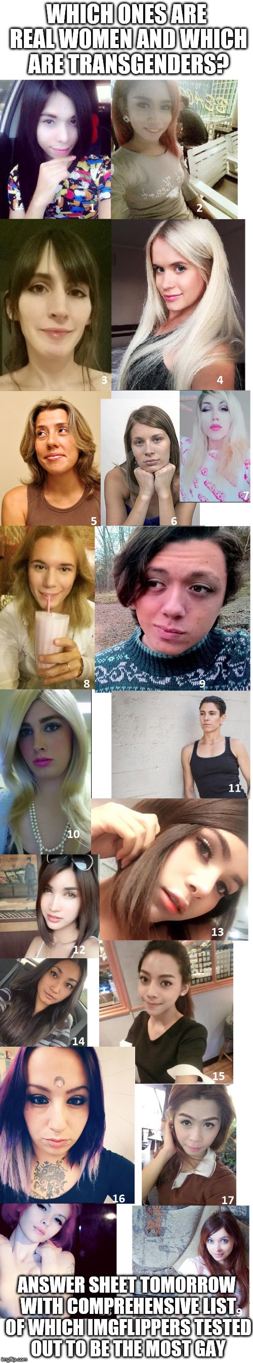 WHICH ONES ARE REAL WOMEN AND WHICH ARE TRANSGENDERS? ANSWER SHEET TOMORROW WITH COMPREHENSIVE LIST OF WHICH IMGFLIPPERS TESTED OUT TO BE THE MOST GAY | image tagged in which ones are real women | made w/ Imgflip meme maker