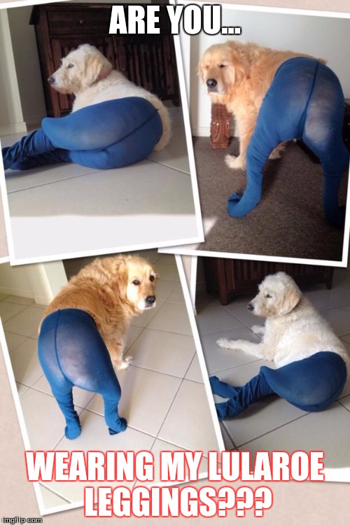 Dog leggings | ARE YOU... WEARING MY LULAROE LEGGINGS??? | image tagged in dog leggings | made w/ Imgflip meme maker