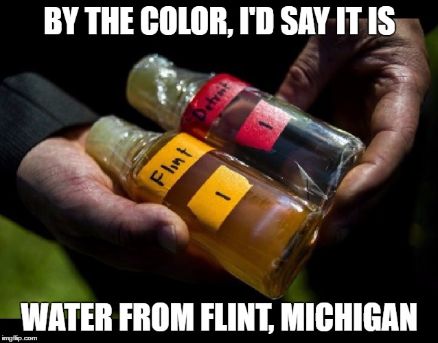 BY THE COLOR, I'D SAY IT IS WATER FROM FLINT, MICHIGAN | made w/ Imgflip meme maker