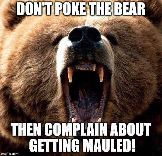 Don't poke the bear  | DON'T POKE THE BEAR; THEN COMPLAIN ABOUT GETTING MAULED! | image tagged in don't poke the bear | made w/ Imgflip meme maker