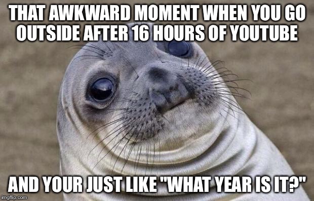 Awkward Moment Sealion | THAT AWKWARD MOMENT WHEN YOU GO OUTSIDE AFTER 16 HOURS OF YOUTUBE; AND YOUR JUST LIKE "WHAT YEAR IS IT?" | image tagged in memes,awkward moment sealion | made w/ Imgflip meme maker