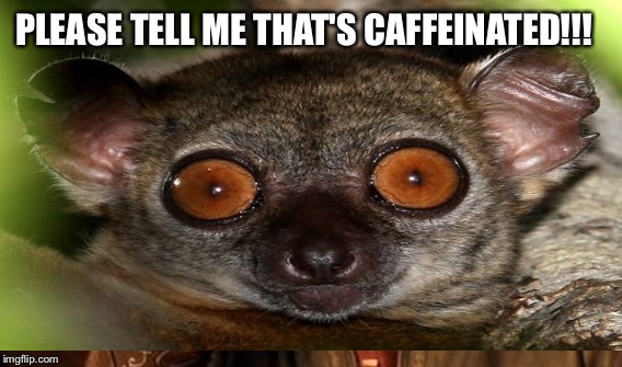 PLEASE TELL ME THAT'S CAFFEINATED!!! | made w/ Imgflip meme maker