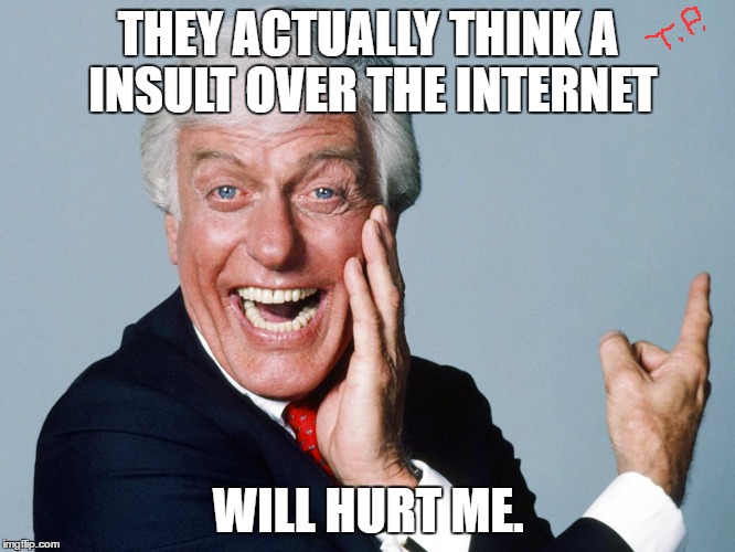 lnternet insult | THEY ACTUALLY THINK A INSULT OVER THE INTERNET; WILL HURT ME. | image tagged in comeback,memes | made w/ Imgflip meme maker