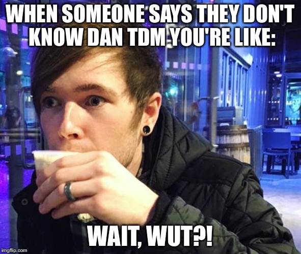 I— I have no words. | WHEN SOMEONE SAYS THEY DON'T KNOW DAN TDM YOU'RE LIKE:; WAIT, WUT?! | image tagged in lolz | made w/ Imgflip meme maker