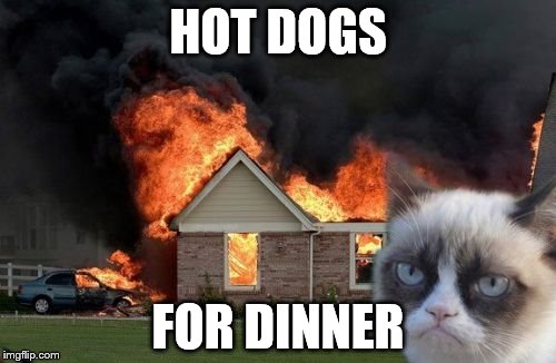 What part of "no dogs" didn't you understand | HOT DOGS; FOR DINNER | image tagged in memes,burn kitty | made w/ Imgflip meme maker