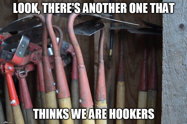 Hoes | LOOK, THERE'S ANOTHER ONE THAT THINKS WE ARE HOOKERS | image tagged in hoes | made w/ Imgflip meme maker