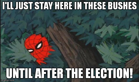 I'LL JUST STAY HERE IN THESE BUSHES UNTIL AFTER THE ELECTION! | made w/ Imgflip meme maker