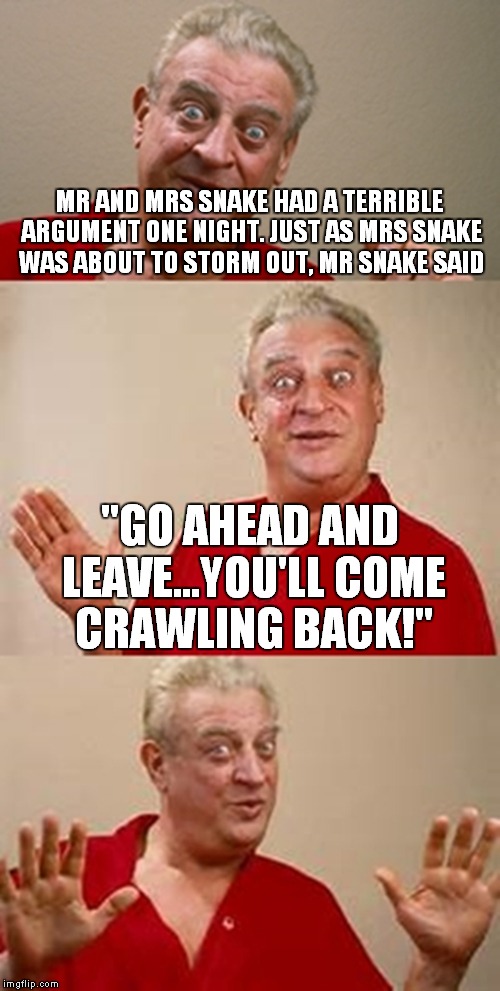 This is a real low one... | MR AND MRS SNAKE HAD A TERRIBLE ARGUMENT ONE NIGHT. JUST AS MRS SNAKE WAS ABOUT TO STORM OUT, MR SNAKE SAID; "GO AHEAD AND LEAVE...YOU'LL COME CRAWLING BACK!" | image tagged in bad pun dangerfield,snake,meme,funny,low down | made w/ Imgflip meme maker
