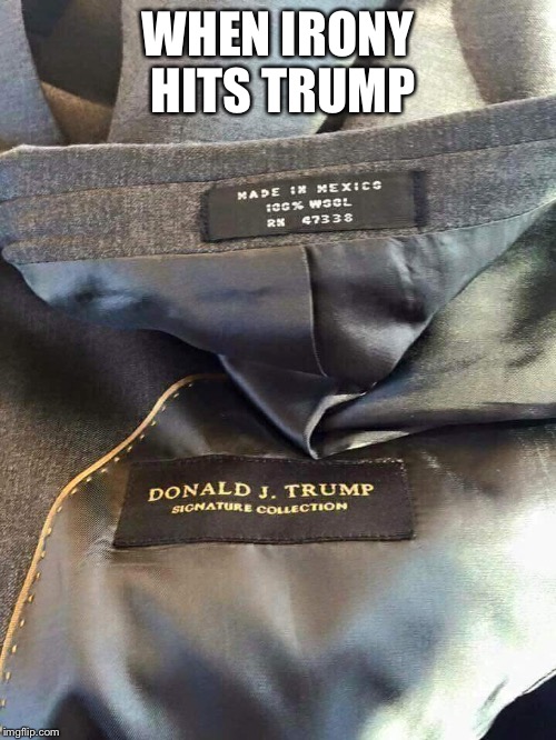 Trump irony | WHEN IRONY HITS TRUMP | image tagged in trump irony | made w/ Imgflip meme maker