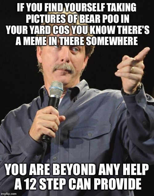 You are definitely a meme addict. I know this because I have the picture on my phone.  | IF YOU FIND YOURSELF TAKING PICTURES OF BEAR POO IN YOUR YARD COS YOU KNOW THERE'S A MEME IN THERE SOMEWHERE; YOU ARE BEYOND ANY HELP A 12 STEP CAN PROVIDE | image tagged in jeff foxworthy,memes,meme addict | made w/ Imgflip meme maker