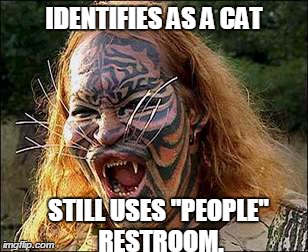 catman potty | IDENTIFIES AS A CAT; STILL USES "PEOPLE" RESTROOM. | image tagged in catman | made w/ Imgflip meme maker