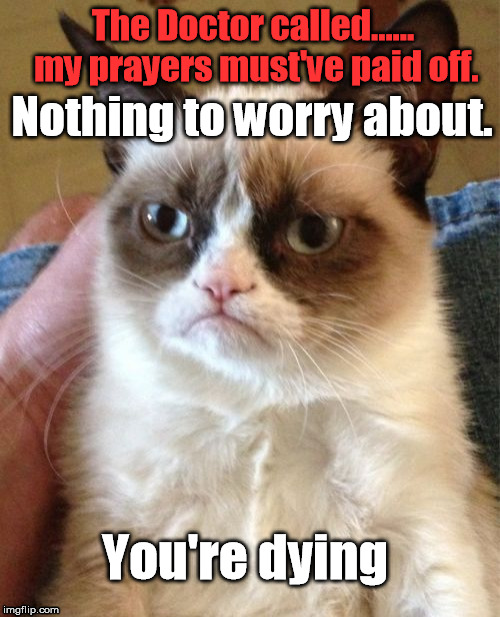 Grumpy Cat | The Doctor called...... my prayers must've paid off. Nothing to worry about. You're dying | image tagged in memes,grumpy cat,comedy,funny | made w/ Imgflip meme maker