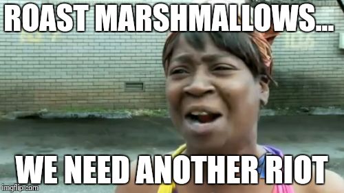 Ain't Nobody Got Time For That Meme | ROAST MARSHMALLOWS... WE NEED ANOTHER RIOT | image tagged in memes,aint nobody got time for that | made w/ Imgflip meme maker