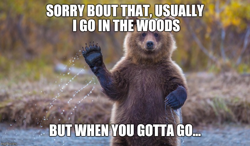 HI garry | SORRY BOUT THAT, USUALLY I GO IN THE WOODS BUT WHEN YOU GOTTA GO... | image tagged in hi garry | made w/ Imgflip meme maker