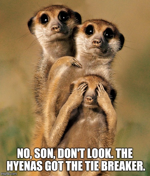 1 less meerkat | NO, SON, DON'T LOOK. THE HYENAS GOT THE TIE BREAKER. | image tagged in meerkats | made w/ Imgflip meme maker