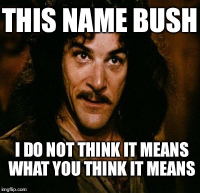 THIS NAME BUSH I DO NOT THINK IT MEANS WHAT YOU THINK IT MEANS | made w/ Imgflip meme maker