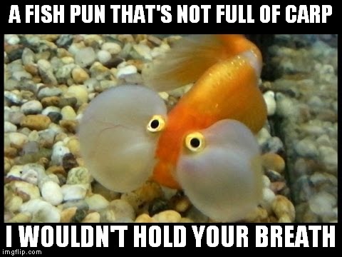 A FISH PUN THAT'S NOT FULL OF CARP I WOULDN'T HOLD YOUR BREATH | made w/ Imgflip meme maker