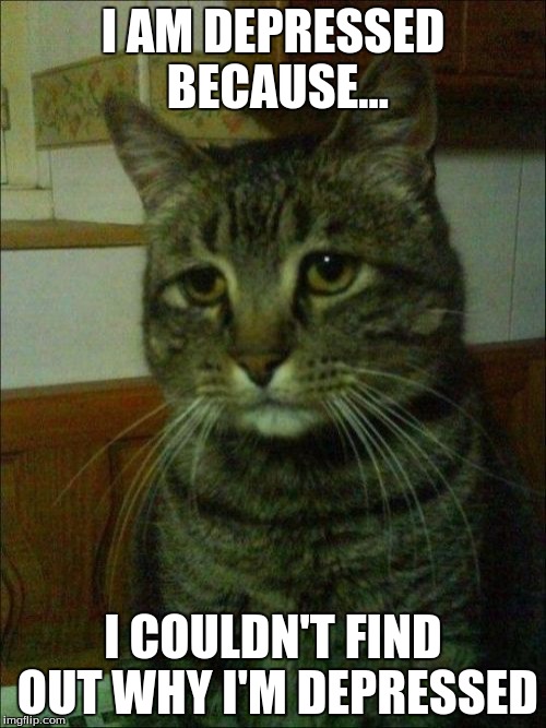 Depressed Cat Meme | I AM DEPRESSED BECAUSE... I COULDN'T FIND OUT WHY I'M DEPRESSED | image tagged in memes,depressed cat | made w/ Imgflip meme maker