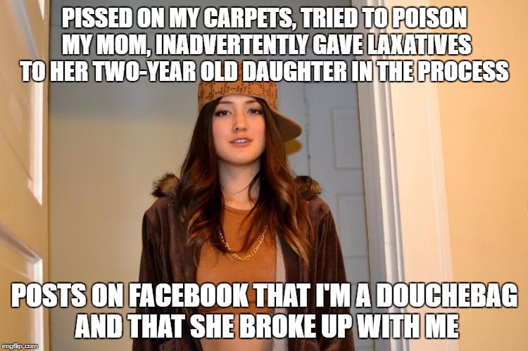 Scumbag Stephanie  | PISSED ON MY CARPETS, TRIED TO POISON MY MOM, INADVERTENTLY GAVE LAXATIVES TO HER TWO-YEAR OLD DAUGHTER IN THE PROCESS; POSTS ON FACEBOOK THAT I'M A DOUCHEBAG AND THAT SHE BROKE UP WITH ME | image tagged in scumbag stephanie | made w/ Imgflip meme maker