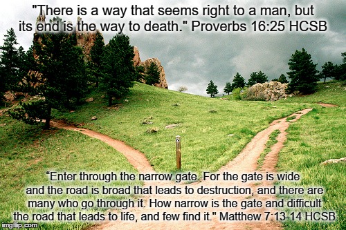 "There is a way that seems right to a man, but its end is the way to death."
Proverbs 16:25 HCSB; “Enter through the narrow gate. For the gate is wide and the road is broad that leads to destruction, and there are many who go through it. How narrow is the gate and difficult the road that leads to life, and few find it."
Matthew 7:13-14 HCSB | made w/ Imgflip meme maker