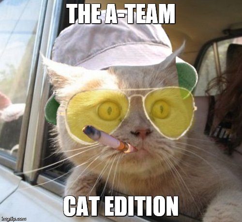Fear And Loathing Cat Meme | THE A-TEAM; CAT EDITION | image tagged in memes,fear and loathing cat | made w/ Imgflip meme maker