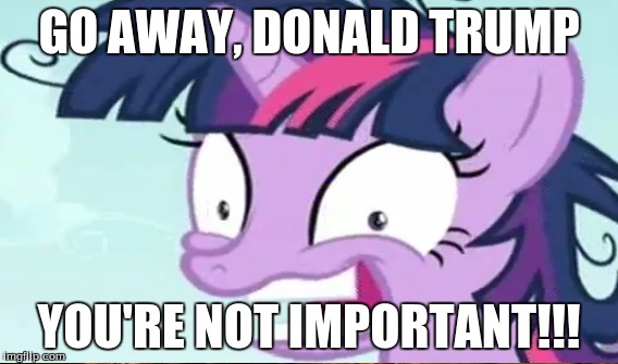 so true... | GO AWAY, DONALD TRUMP; YOU'RE NOT IMPORTANT!!! | image tagged in twilight sparkle,donald trump you're fired | made w/ Imgflip meme maker