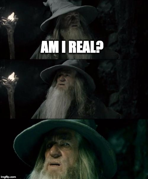 Confused Gandalf | AM I REAL? | image tagged in memes,confused gandalf | made w/ Imgflip meme maker