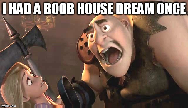 I had a meme once | I HAD A BOOB HOUSE DREAM ONCE | image tagged in i had a meme once | made w/ Imgflip meme maker