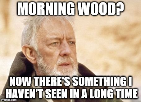 MORNING WOOD? NOW THERE'S SOMETHING I HAVEN'T SEEN IN A LONG TIME | made w/ Imgflip meme maker