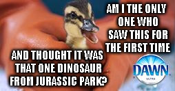I can't be the only one... | AM I THE ONLY ONE WHO SAW THIS FOR THE FIRST TIME; AND THOUGHT IT WAS THAT ONE DINOSAUR FROM JURASSIC PARK? | image tagged in dawn,duckling,dinosaur,jurassic park,funny,memes | made w/ Imgflip meme maker