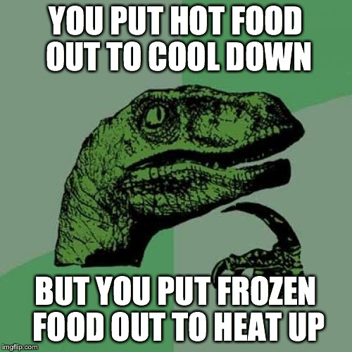 Philosoraptor Meme | YOU PUT HOT FOOD OUT TO COOL DOWN; BUT YOU PUT FROZEN FOOD OUT TO HEAT UP | image tagged in memes,philosoraptor | made w/ Imgflip meme maker