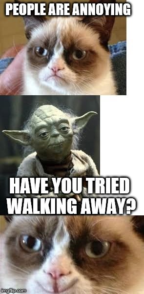 PEOPLE ARE ANNOYING; HAVE YOU TRIED WALKING AWAY? | image tagged in have you tried x | made w/ Imgflip meme maker