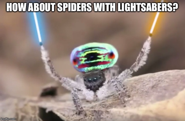 HOW ABOUT SPIDERS WITH LIGHTSABERS? | made w/ Imgflip meme maker