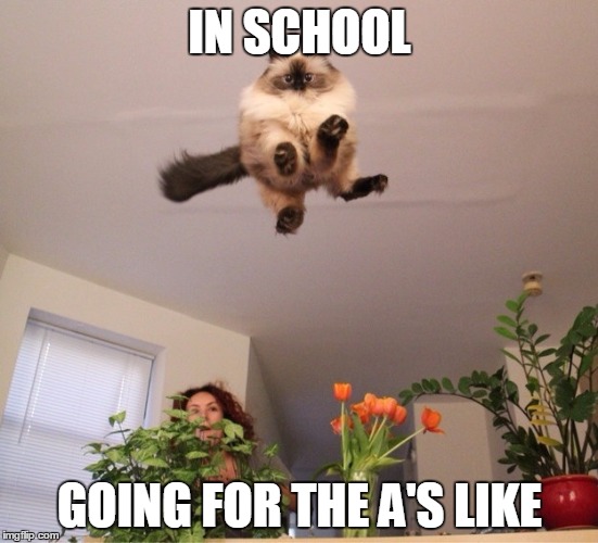 Give the A, Get the A | IN SCHOOL; GOING FOR THE A'S LIKE | image tagged in kitteh | made w/ Imgflip meme maker