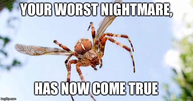 The spiderflypocolypse is coming... | YOUR WORST NIGHTMARE, HAS NOW COME TRUE | image tagged in spiders | made w/ Imgflip meme maker