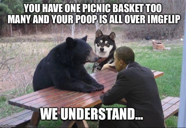 YOU HAVE ONE PICNIC BASKET TOO MANY AND YOUR POOP IS ALL OVER IMGFLIP WE UNDERSTAND... | made w/ Imgflip meme maker