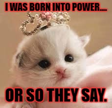 Princess or not? | I WAS BORN INTO POWER.... OR SO THEY SAY. | image tagged in funny cats | made w/ Imgflip meme maker