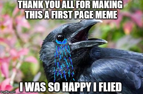 Bad Pun Crow Crying | THANK YOU ALL FOR MAKING THIS A FIRST PAGE MEME; I WAS SO HAPPY I FLIED | image tagged in bad pun crow crying | made w/ Imgflip meme maker