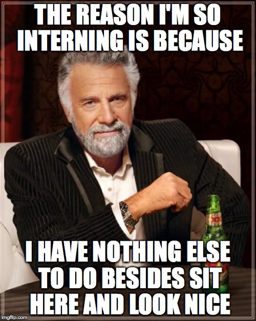 The Most Interesting Man In The World | THE REASON I'M SO INTERNING IS BECAUSE; I HAVE NOTHING ELSE TO DO BESIDES SIT HERE AND LOOK NICE | image tagged in memes,the most interesting man in the world | made w/ Imgflip meme maker