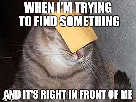 WHERE IS MAH CHEESE? | WHEN I'M TRYING TO FIND SOMETHING; AND IT'S RIGHT IN FRONT OF ME | image tagged in cats with cheese | made w/ Imgflip meme maker
