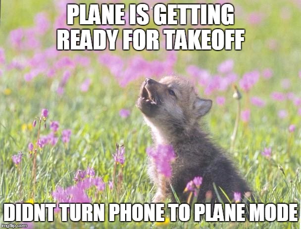 Baby Insanity Wolf | PLANE IS GETTING READY FOR TAKEOFF; DIDNT TURN PHONE TO PLANE MODE | image tagged in memes,baby insanity wolf,AdviceAnimals | made w/ Imgflip meme maker