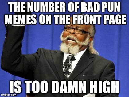 Too Damn High Meme | THE NUMBER OF BAD PUN MEMES ON THE FRONT PAGE; IS TOO DAMN HIGH | image tagged in memes,too damn high | made w/ Imgflip meme maker