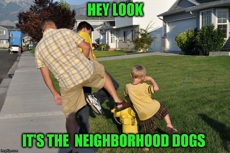 We just felt like a Bunch of Dogs Today | HEY LOOK; IT'S THE  NEIGHBORHOOD DOGS | image tagged in memes | made w/ Imgflip meme maker