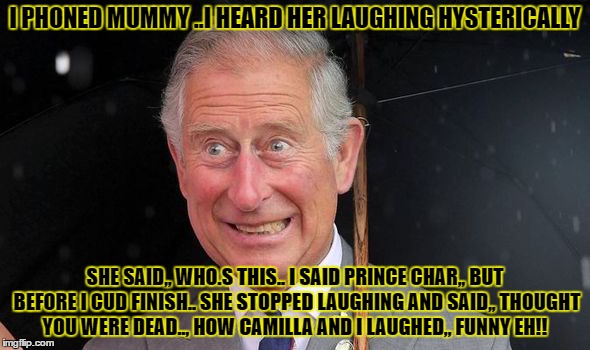 prince | I PHONED MUMMY ..I HEARD HER LAUGHING HYSTERICALLY; SHE SAID,, WHO.S THIS.. I SAID PRINCE CHAR,, BUT BEFORE I CUD FINISH.. SHE STOPPED LAUGHING AND SAID,, THOUGHT YOU WERE DEAD.., HOW CAMILLA AND I LAUGHED,, FUNNY EH!! | image tagged in funny | made w/ Imgflip meme maker