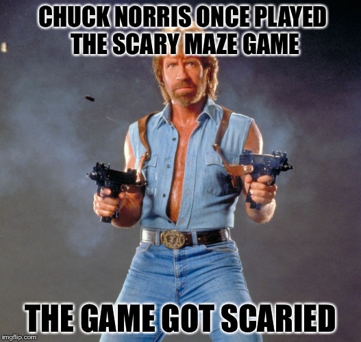 :D | CHUCK NORRIS ONCE PLAYED THE SCARY MAZE GAME; THE GAME GOT SCARIED | image tagged in chuck norris | made w/ Imgflip meme maker