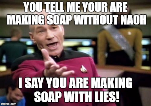 Picard Wtf | YOU TELL ME YOUR ARE MAKING SOAP WITHOUT NAOH; I SAY YOU ARE MAKING SOAP WITH LIES! | image tagged in memes,picard wtf | made w/ Imgflip meme maker