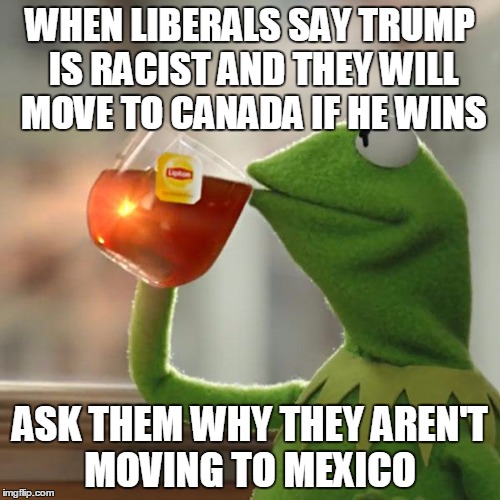 But That's None Of My Business | WHEN LIBERALS SAY TRUMP IS RACIST AND THEY WILL MOVE TO CANADA IF HE WINS; ASK THEM WHY THEY AREN'T MOVING TO MEXICO | image tagged in memes,but thats none of my business,kermit the frog | made w/ Imgflip meme maker