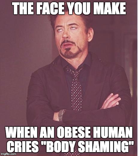 Face You Make Robert Downey Jr Meme | THE FACE YOU MAKE; WHEN AN OBESE HUMAN CRIES "BODY SHAMING" | image tagged in memes,face you make robert downey jr | made w/ Imgflip meme maker