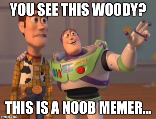 X, X Everywhere Meme | YOU SEE THIS WOODY? THIS IS A NOOB MEMER... | image tagged in memes,x x everywhere | made w/ Imgflip meme maker