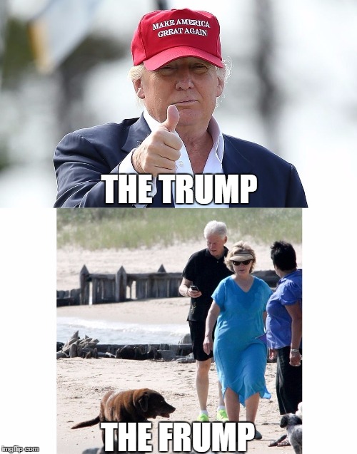 THE TRUMP; THE FRUMP | image tagged in The_Donald | made w/ Imgflip meme maker